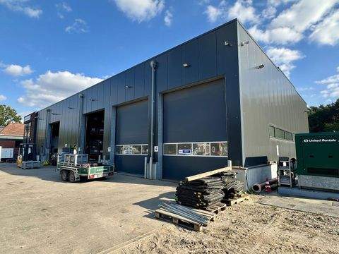 Lüneburg Halle, Lüneburg Hallenfläche