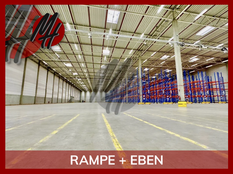 Alzey Halle, Alzey Hallenfläche