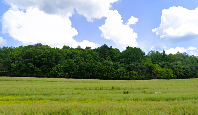 Acker und Wald