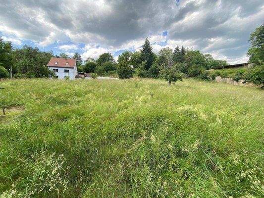 Hangaufwärts Richtung Nord.jpg