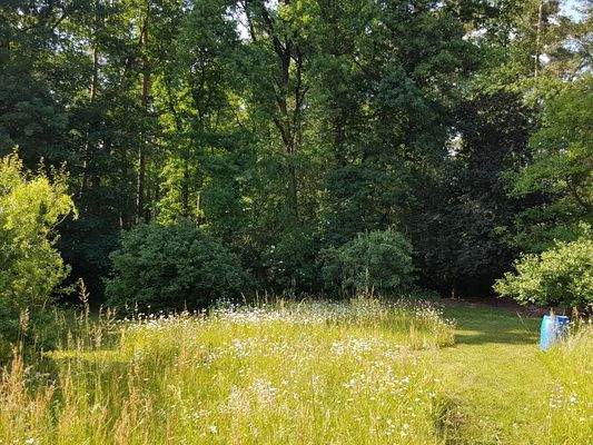 Garten zum Wald.jpg