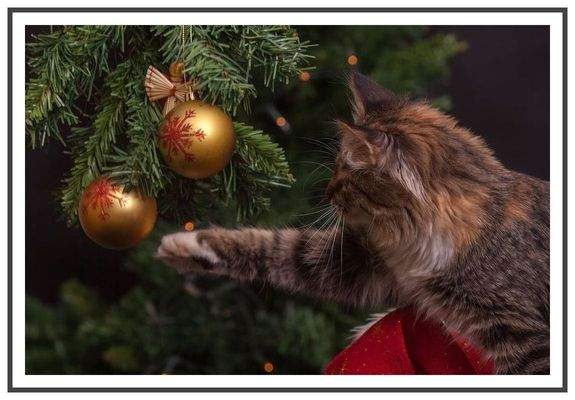 HERZLICH WILLKOMMEN sagt Hensel Immobilien!