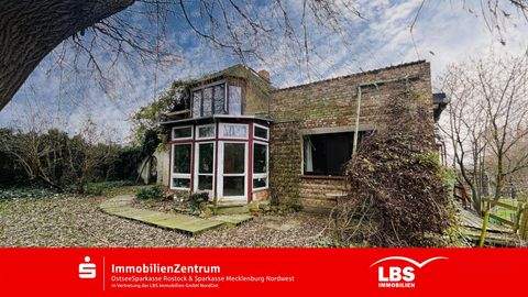 Finkenthal Häuser, Finkenthal Haus kaufen