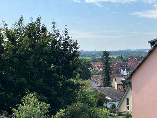 Blick in den Wiesengrund