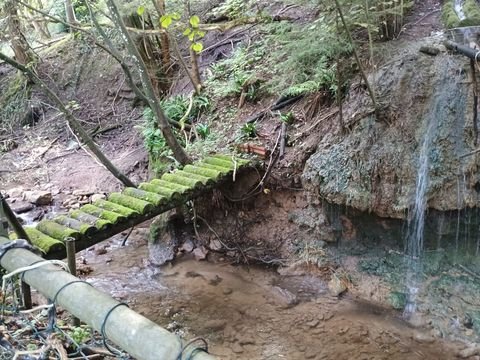 Merzig Grundstücke, Merzig Grundstück kaufen