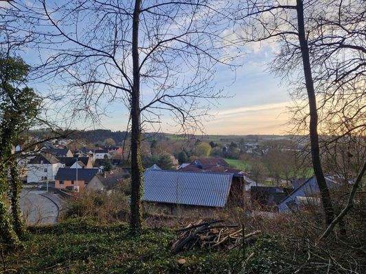 Aussicht vom Gartengrundstück.jpg