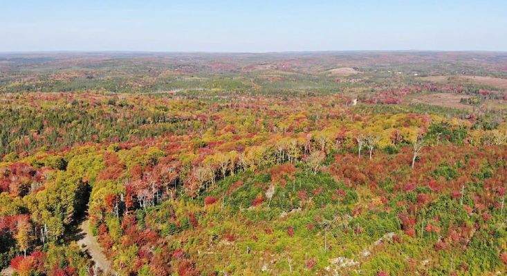 Nova Scotia - West Side Country Harbour - 52-Hekta
