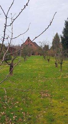 vom Grundstüksende aus 