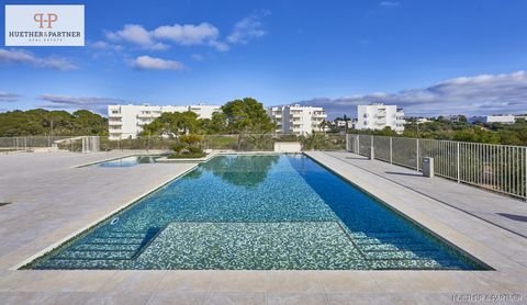 Cala d'Or Wohnungen, Cala d'Or Wohnung kaufen
