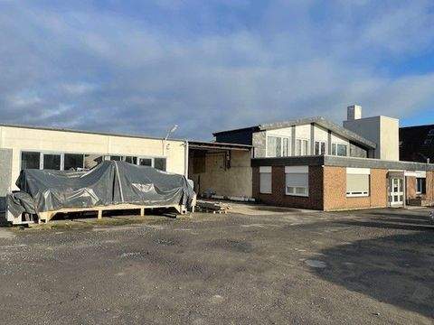 Selm Halle, Selm Hallenfläche