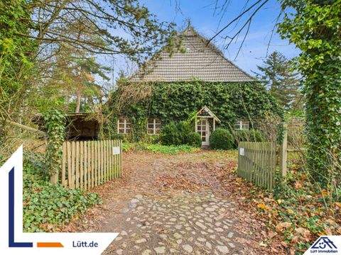 Panker Häuser, Panker Haus kaufen