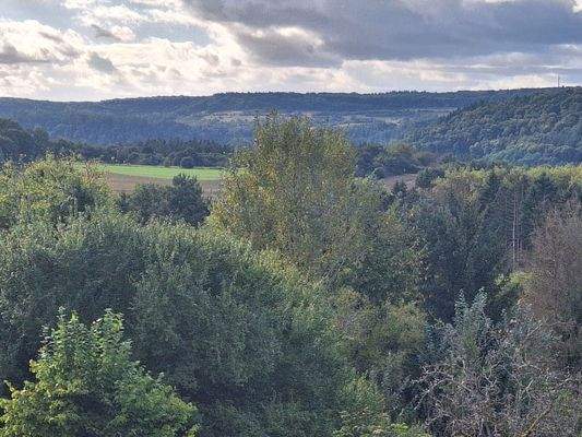 Aussicht Schlafzimmer,