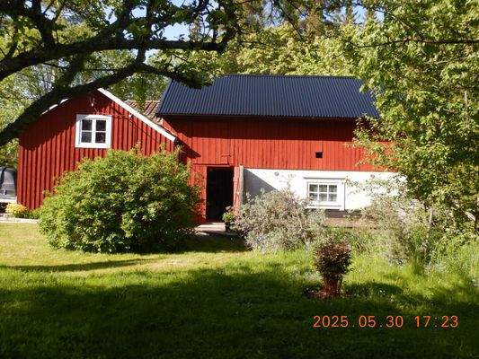 Garten vor der Saunaterrasse