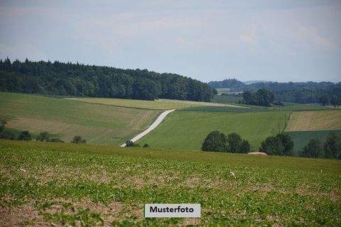 Vielbach Bauernhöfe, Landwirtschaft, Vielbach Forstwirtschaft