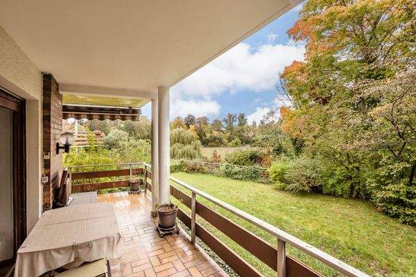 Blick auf den Thielpark