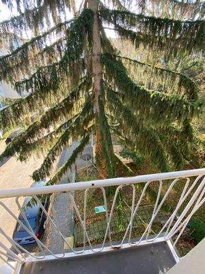 Französicher Balkon