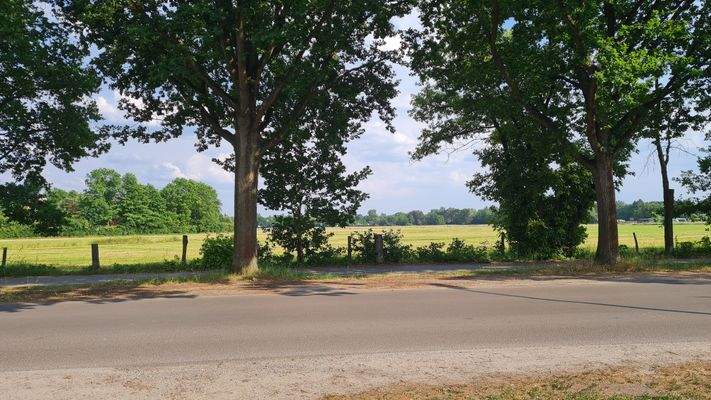 Bilck auf die Straße