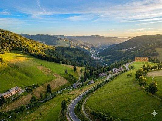 Gemini_Generated_Image_e3cy5ke3cy5ke3cy