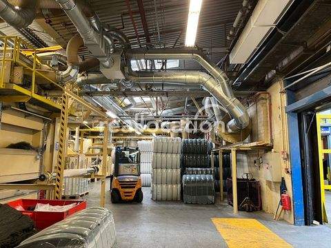 Gernsbach Halle, Gernsbach Hallenfläche