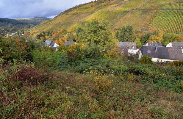 Grundstück Waldrach 