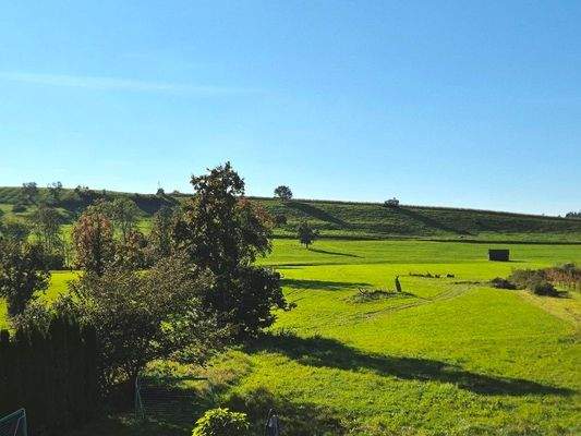 Blick vom Balkon.jpg
