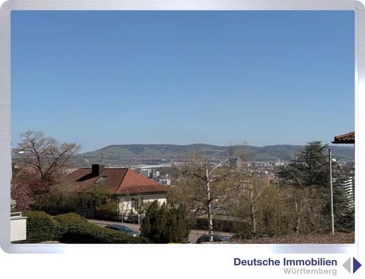 Ausblick