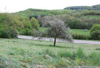 Blick zum Ortsausgang