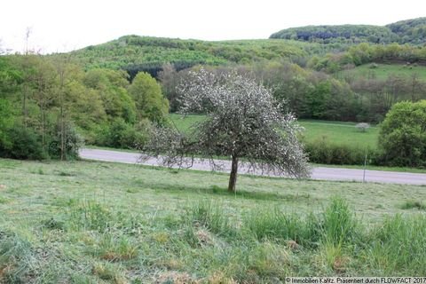 Frankelbach Grundstücke, Frankelbach Grundstück kaufen