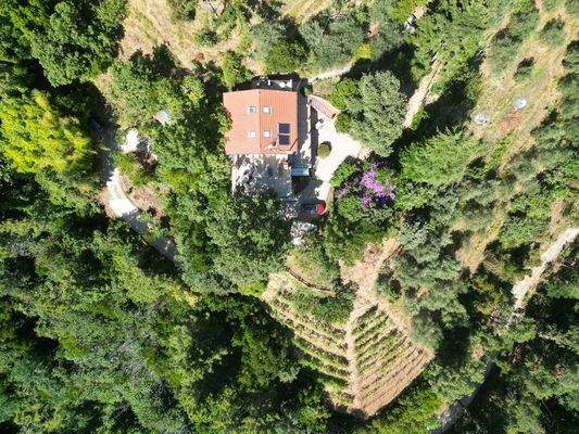 DJI_0391 (Kopie).JPG