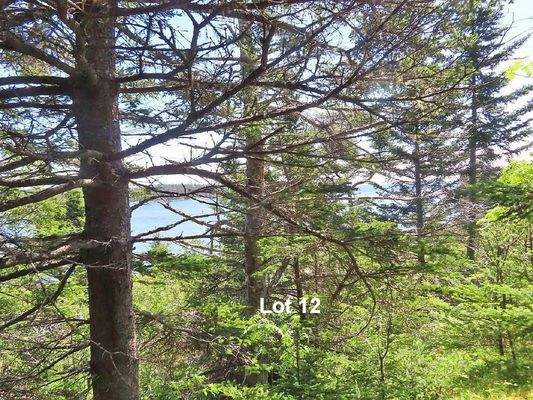 Nova Scotia - English Harbour - 14.580 m²-Lot in h