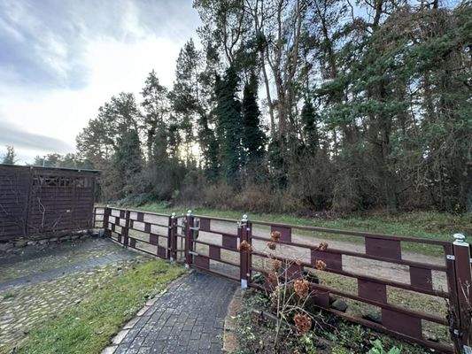 Grundstückszufahrt westseitig