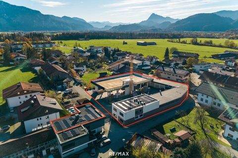 Niederndorf Halle, Niederndorf Hallenfläche