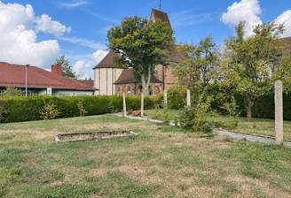 Baugrundstück / Garten
