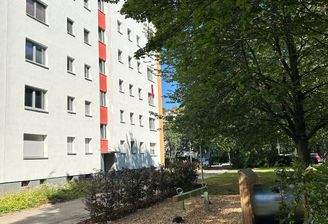 Außenansicht vorne mit Fassade und Fenstern und Begrünung 