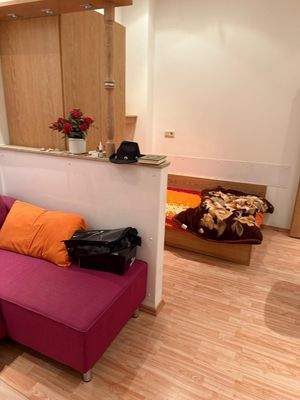 WhatsApp Image 2026-02-09 at 15.17.04 (8).jpeg