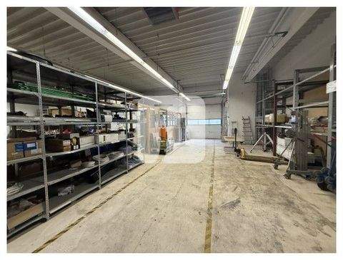 Rostock Halle, Rostock Hallenfläche