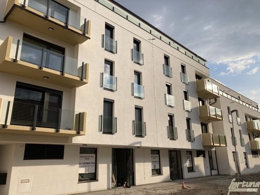 Bild 16