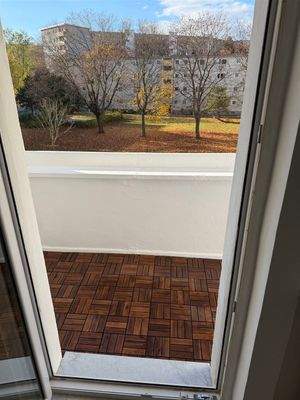 Fenstertür Wohnzimmer