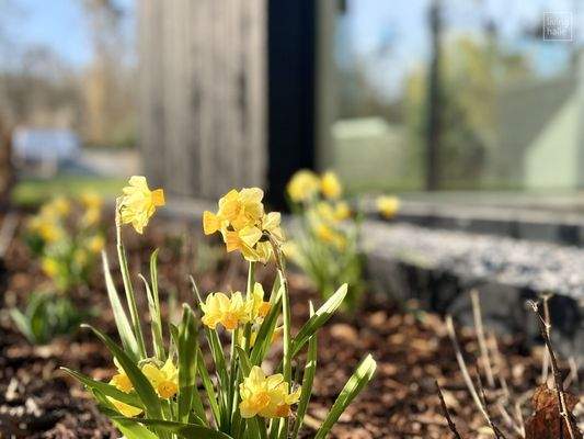 im heidetrio wird es grün