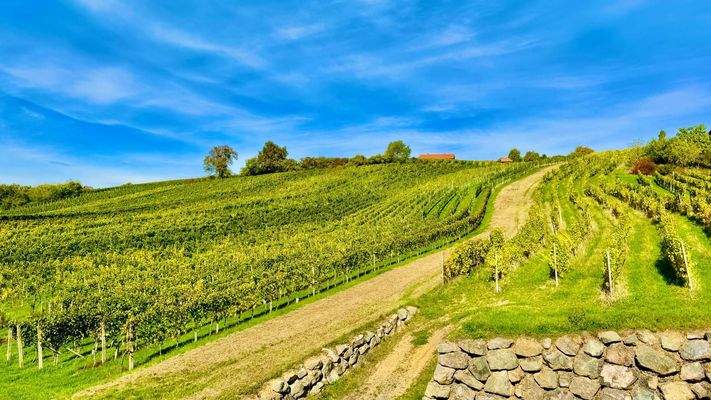 Wohnung in 8493 Klöch