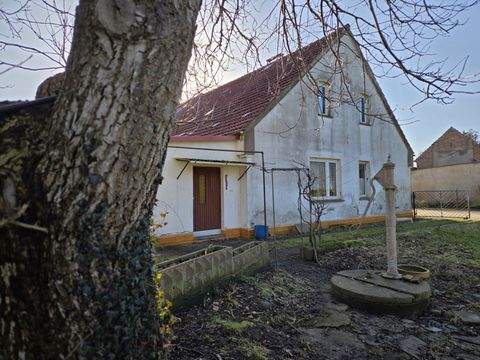 Neetzow-Liepen Häuser, Neetzow-Liepen Haus kaufen