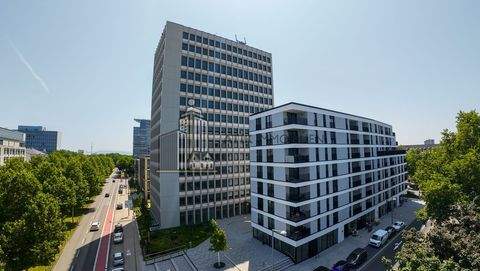 Mannheim / Schwetzingerstadt Oststadt Büros, Büroräume, Büroflächen 