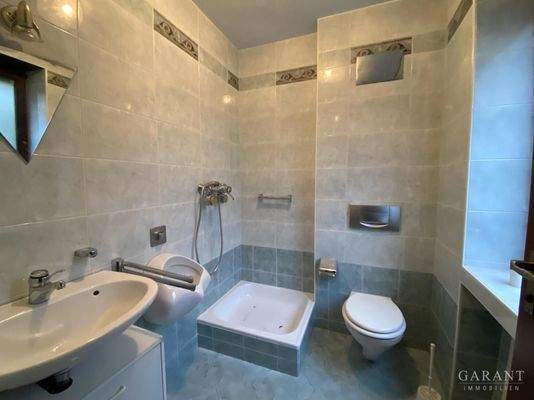 Blick ins Gäste-Bad EG