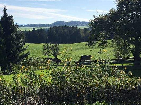 Ausblick nach Süden