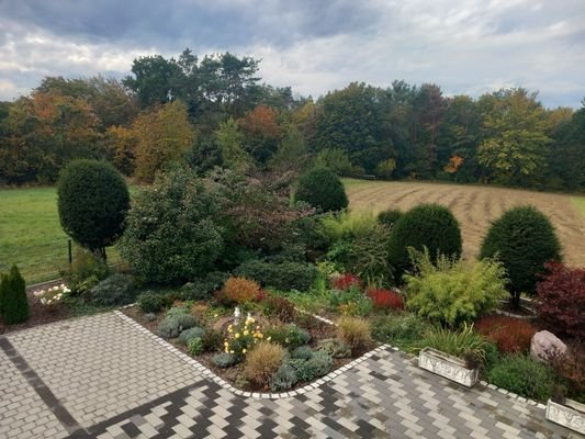 Blick vom Balkon