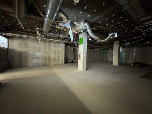 große Fläche RAT.jpeg