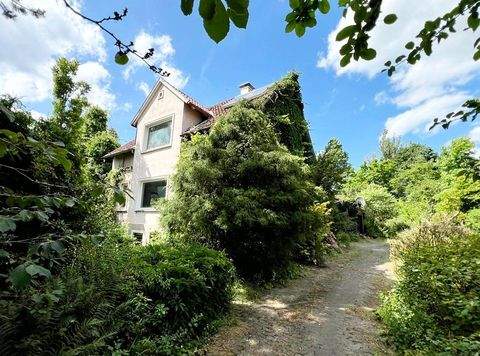Detmold Häuser, Detmold Haus kaufen
