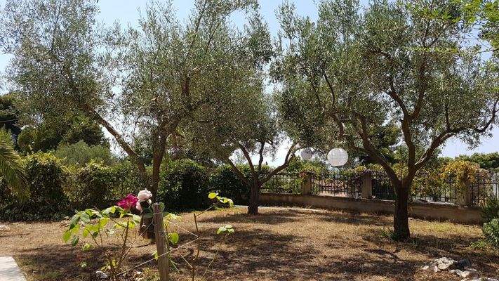 c55dda8f-26d6-4dd3-a4e8-63d65e8e3039