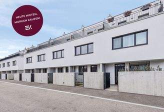 202411_EKZ_Schlachthammer mit Störer_außen