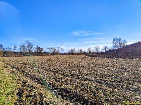 Söding-Sankt Johann Bauernhöfe, Landwirtschaft, Söding-Sankt Johann Forstwirtschaft